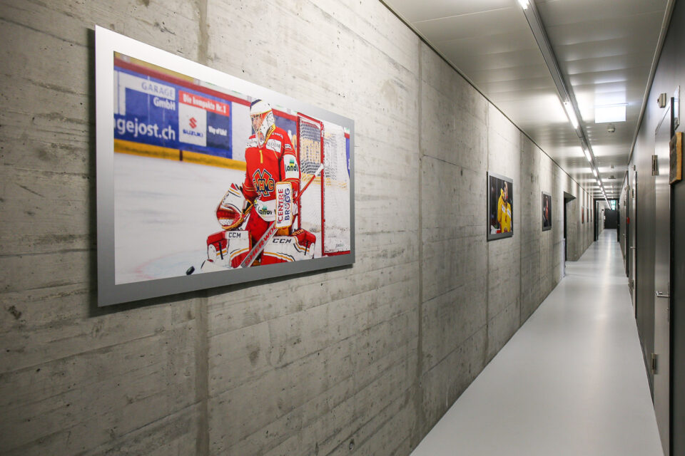 ehcb interview blog 04